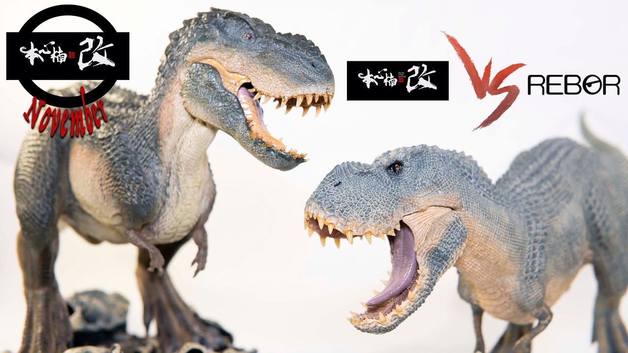 HEAD2HEAD - Nanmu V. rex, 