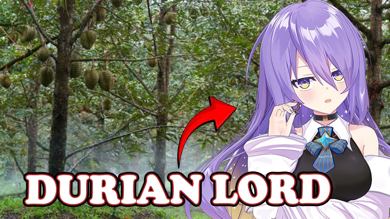 Zeta was surprised to learn that Moona owns a durian plantation