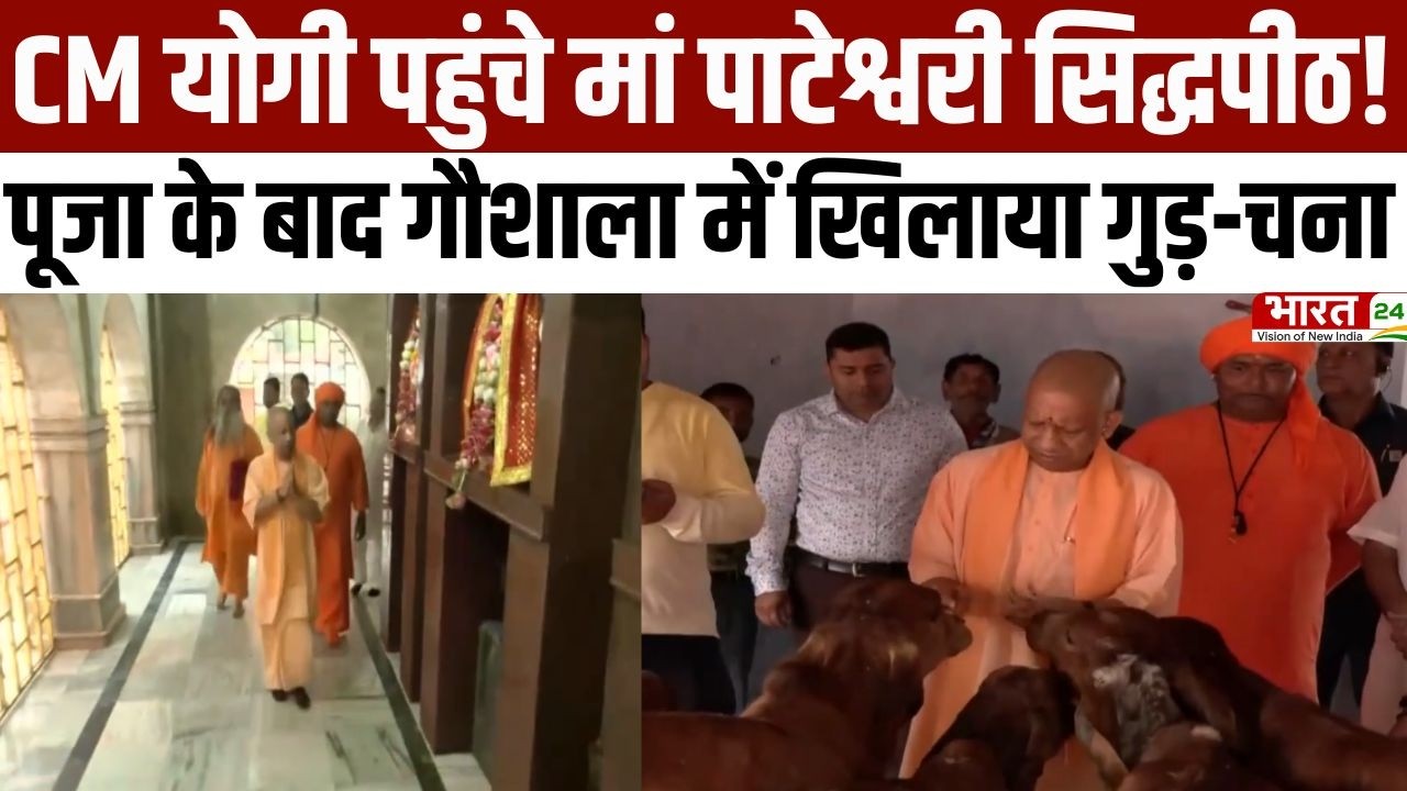 CM Yogi In Balrampur: CM योगी पहुंचे मां पाटेश्वरी सिद्धपीठ! पूजा के बाद गौशाला में खिलाया गुड़-चना