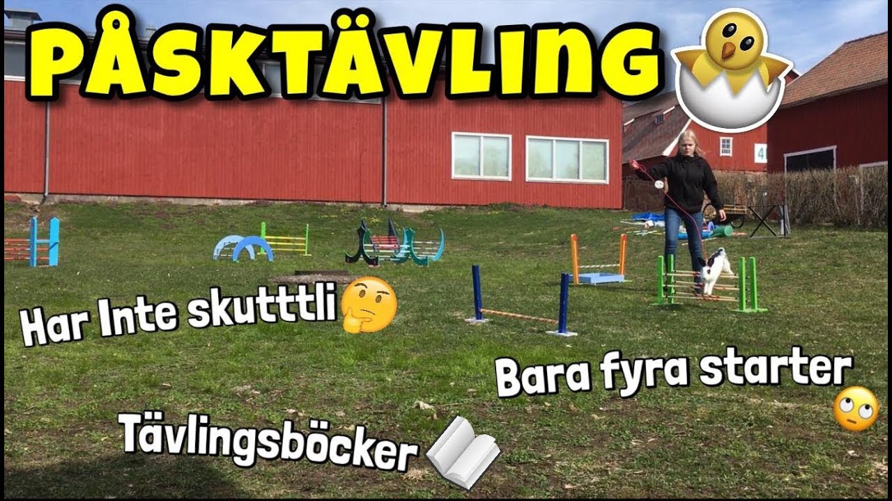Hur går en kaninhoppningstävling till på Åland?