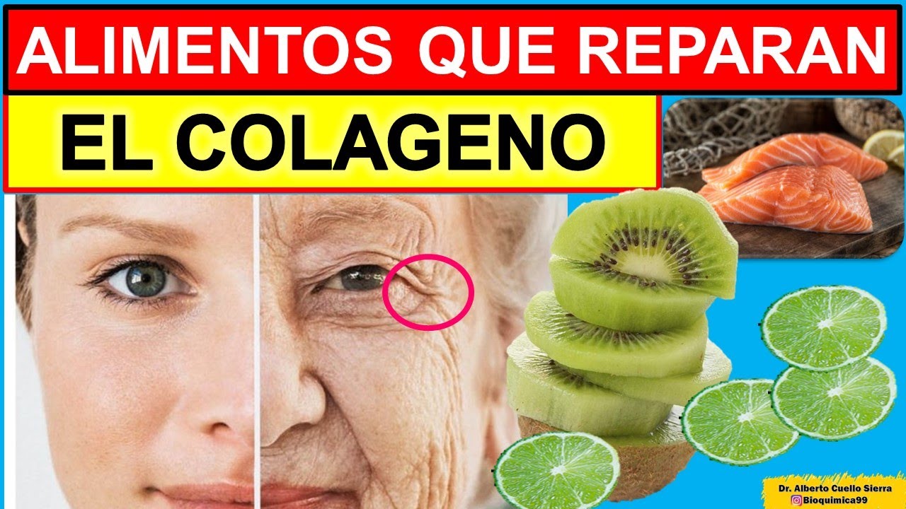 5 ALIMENTOS QUE RECUPERAN EL COLÁGENO DE TU ORGANISMO