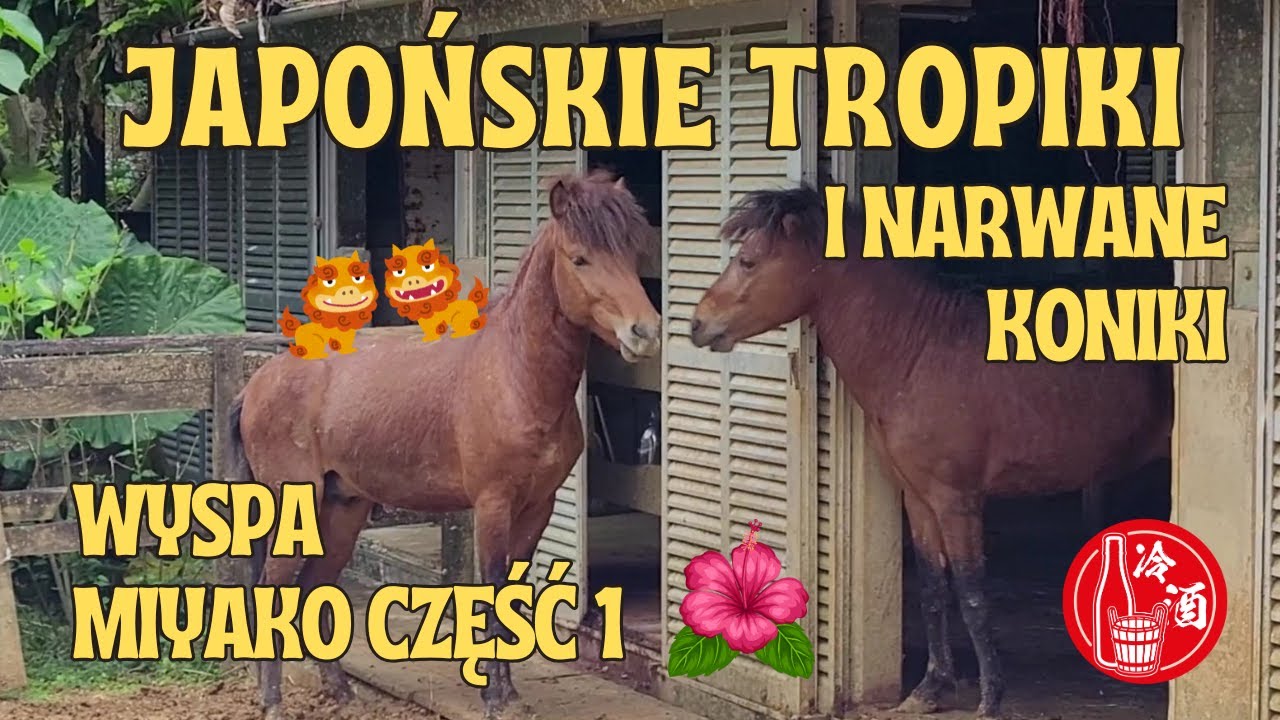 Tropikalny Urlop w Japonii | Miyakojima, Okinawa Cz.1