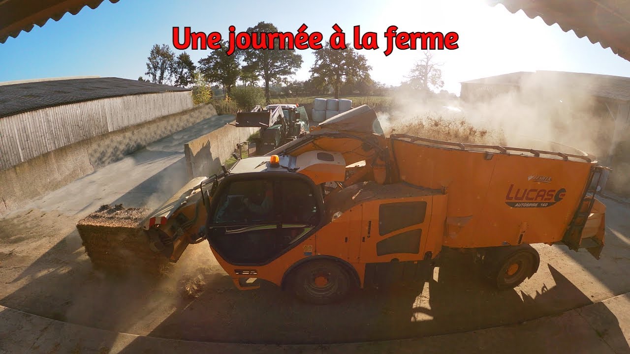 Une journée d'automne à la ferme