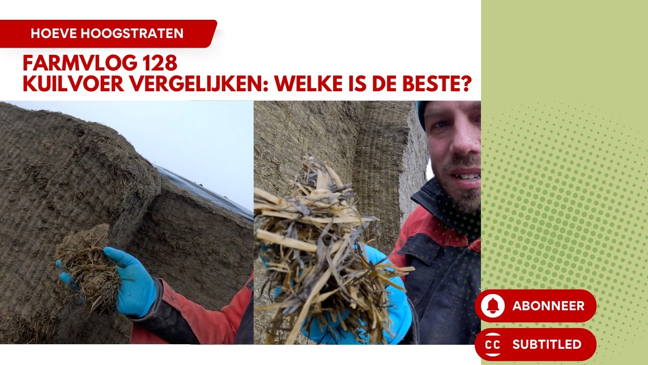 Farmvlog 128: Kuilvoer vergelijken: Welke is de beste?