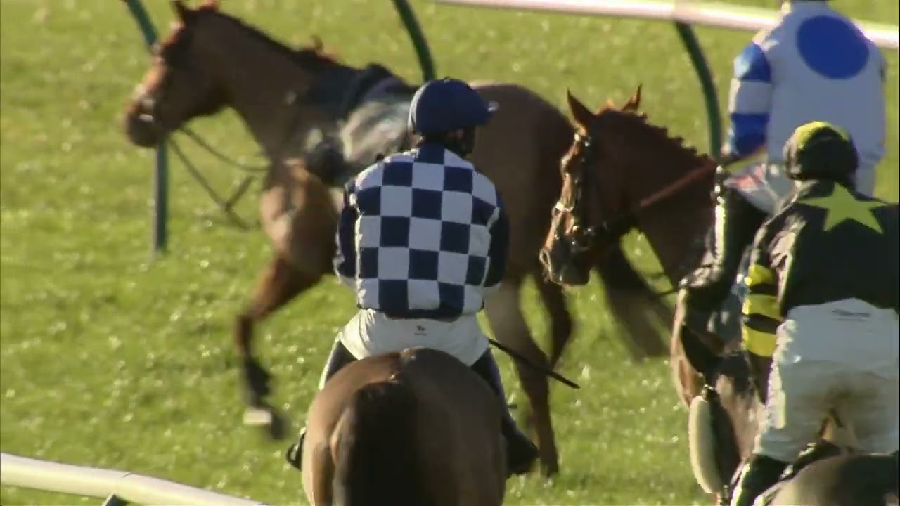 Donald Whillans Racing : So Many Roads wins at Ayr 02.01.2023