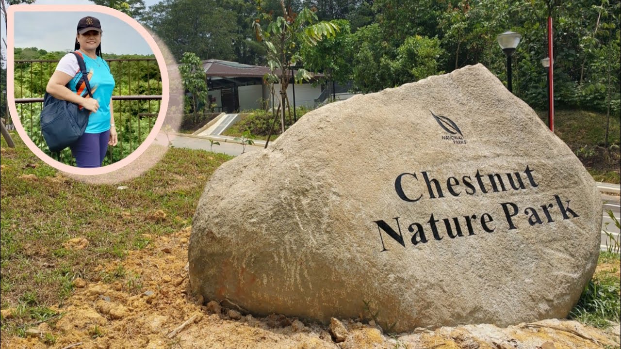 CHESTNUT NATURE PARK || Esay B Vlog