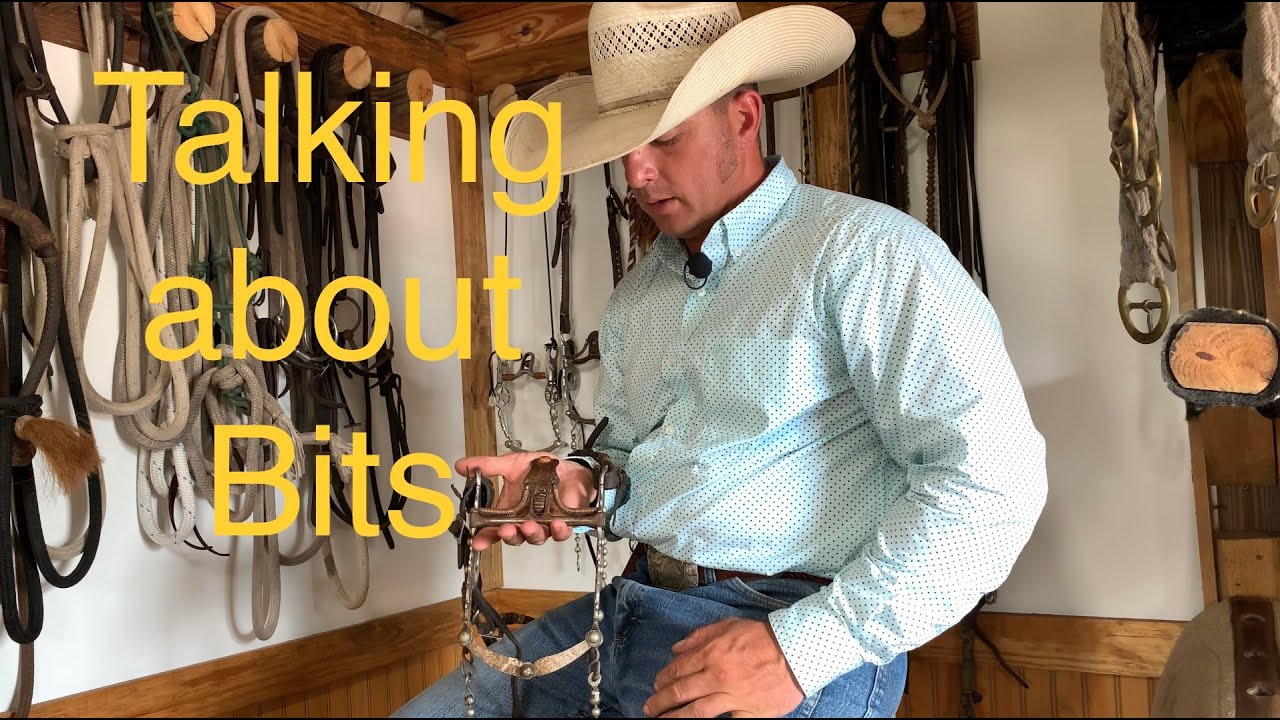 Talking about Bits
