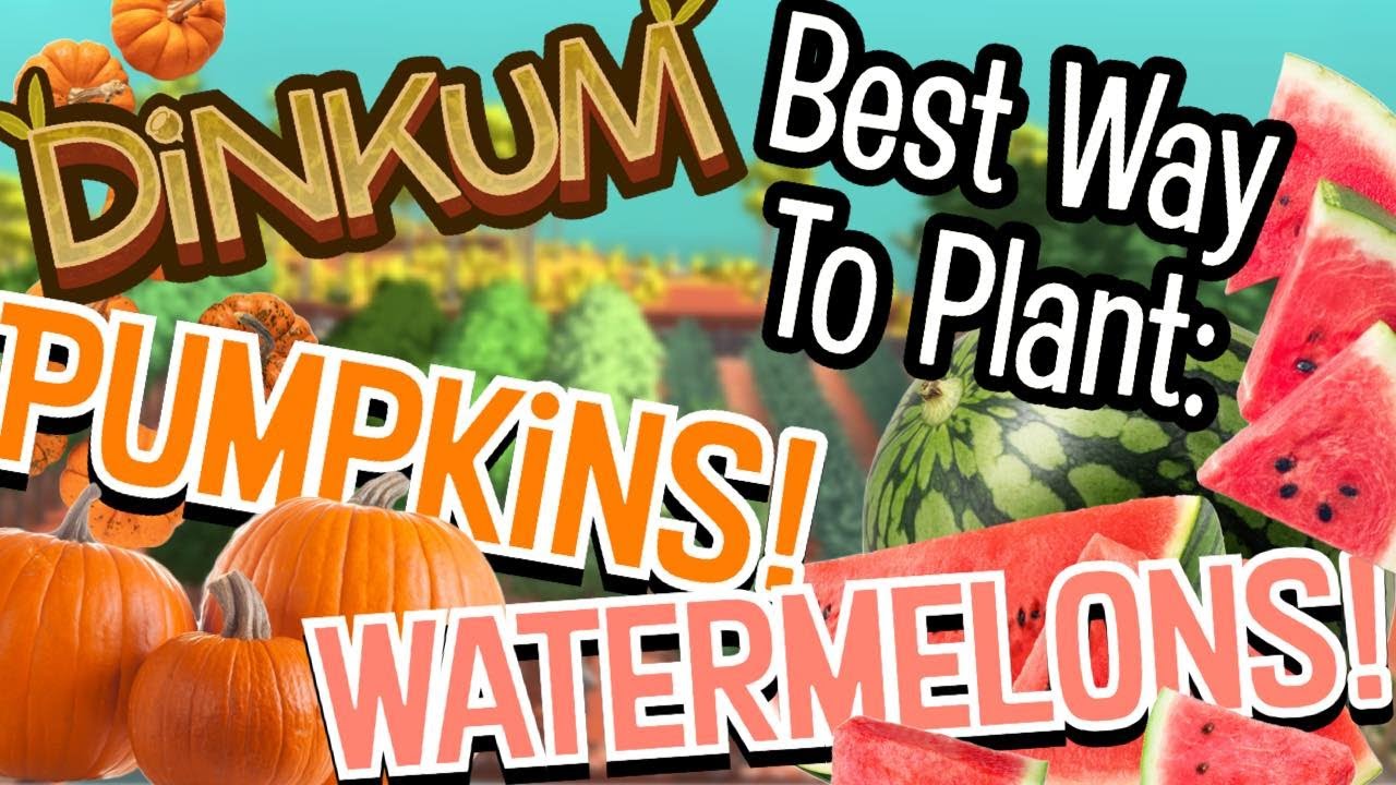 Dinkum Best Watermelon/Pumpkin Farm Method!
