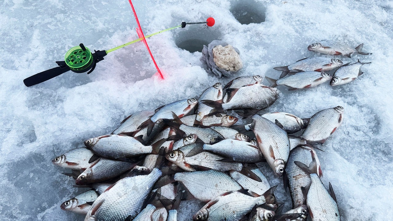 Удочки улетают в лунку! Густера стоит стеной на Дону!