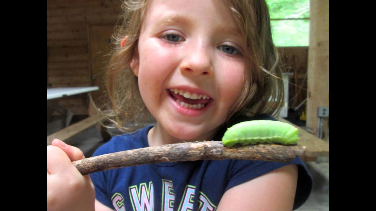 Camp Bethel (Fincastle, VA) 2015 Summer Camps Review