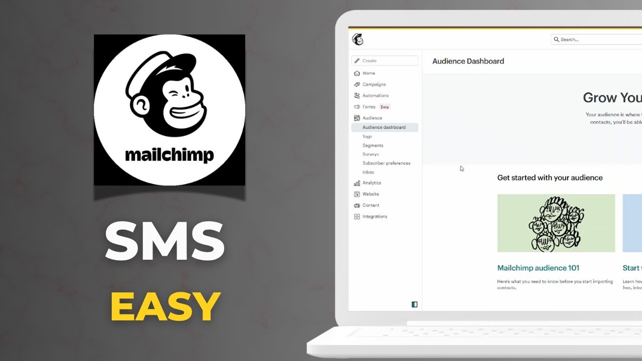 How To Connect Mailchimp To Sms   Easy Integration