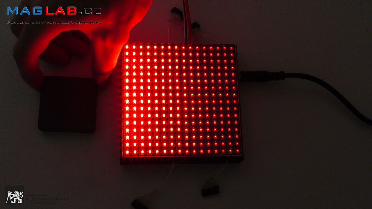 Magnetic field display - bachelor thesis