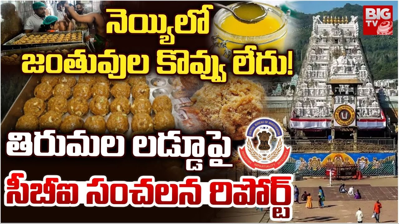 Tirumala Adulterated Ghee Case | నెయ్యిలో జంతువుల కొవ్వు లేదు! | CBI Shocking Report | BIG TV
