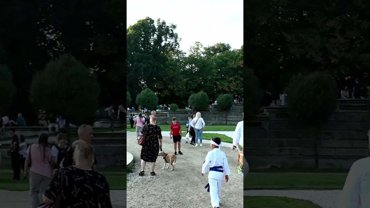 Powr&oacute;t do przeszłości. Jarmark Michała w Żaganiu.