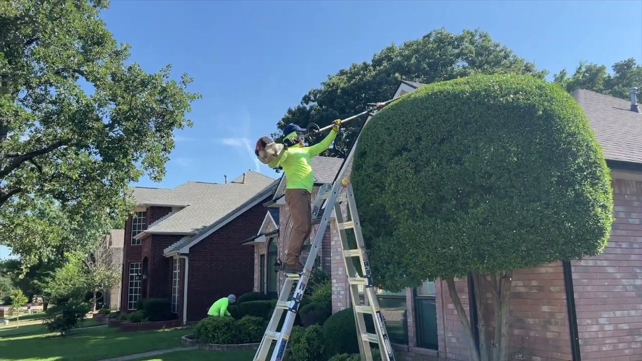 Bush and Bed Service