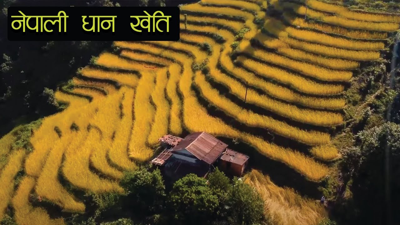 माैजा, लामडाँडा सुन्दर गाउँहरू// MAUJA, LAMDADA VALAM 20 ,