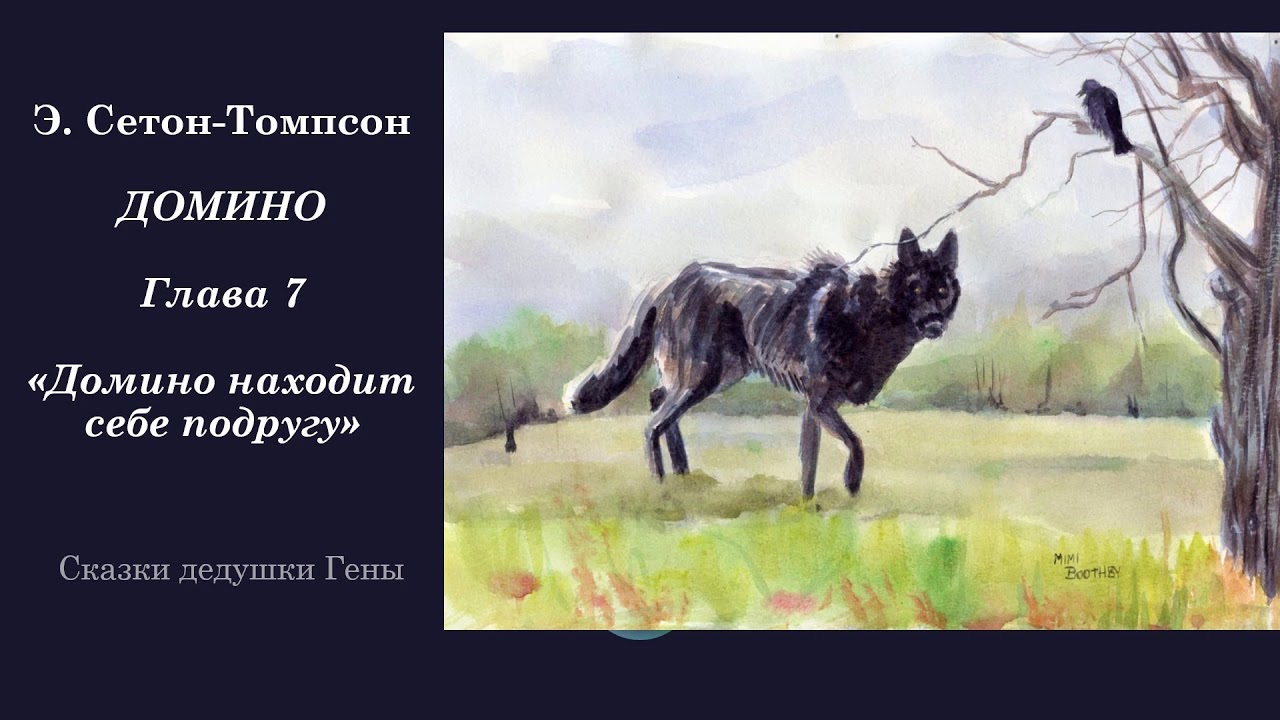 ДОМИНО. История одного черно-бурого лиса. Глава 7. Домино находит себе подругу