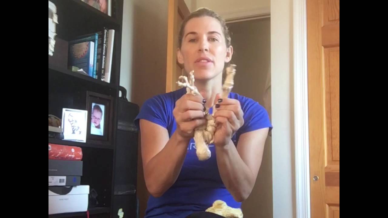 Understanding the Great Toe, Functional Hallux Limitus and Assessment Techniques