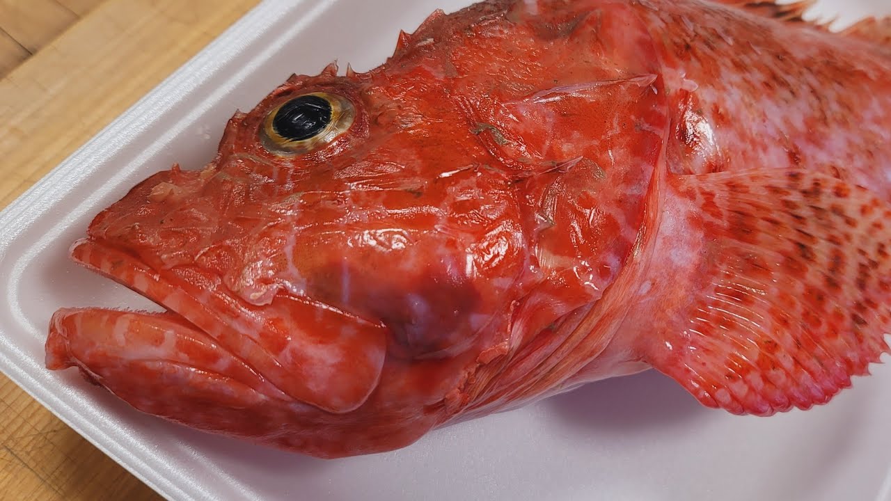 律丸の鮮魚販売🐟今日の魚介は「マンボウ、アラ、オコゼなど」です！！注文受付開始は２１時３０分前後になります。