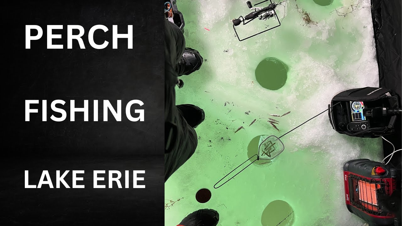 Ice Fishing for Jumbo Perch on Lake Erie 2026