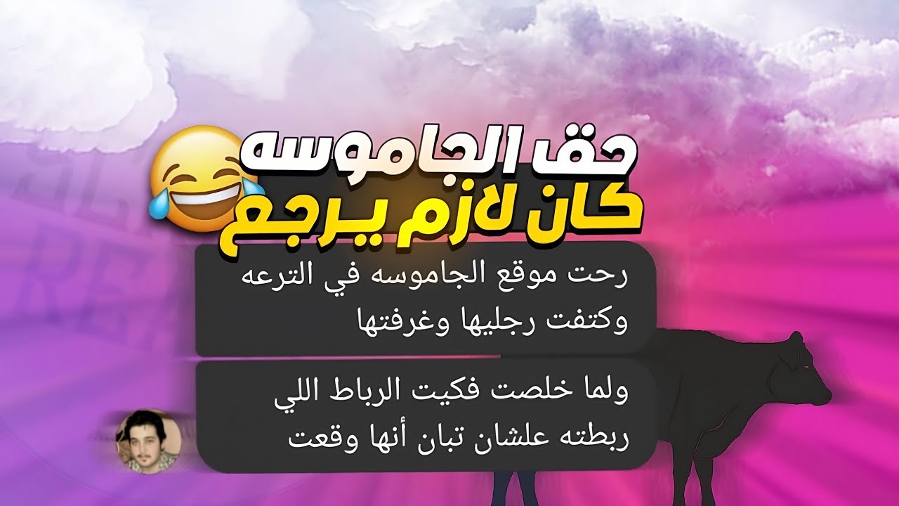 ريأكت شات| صفصف 