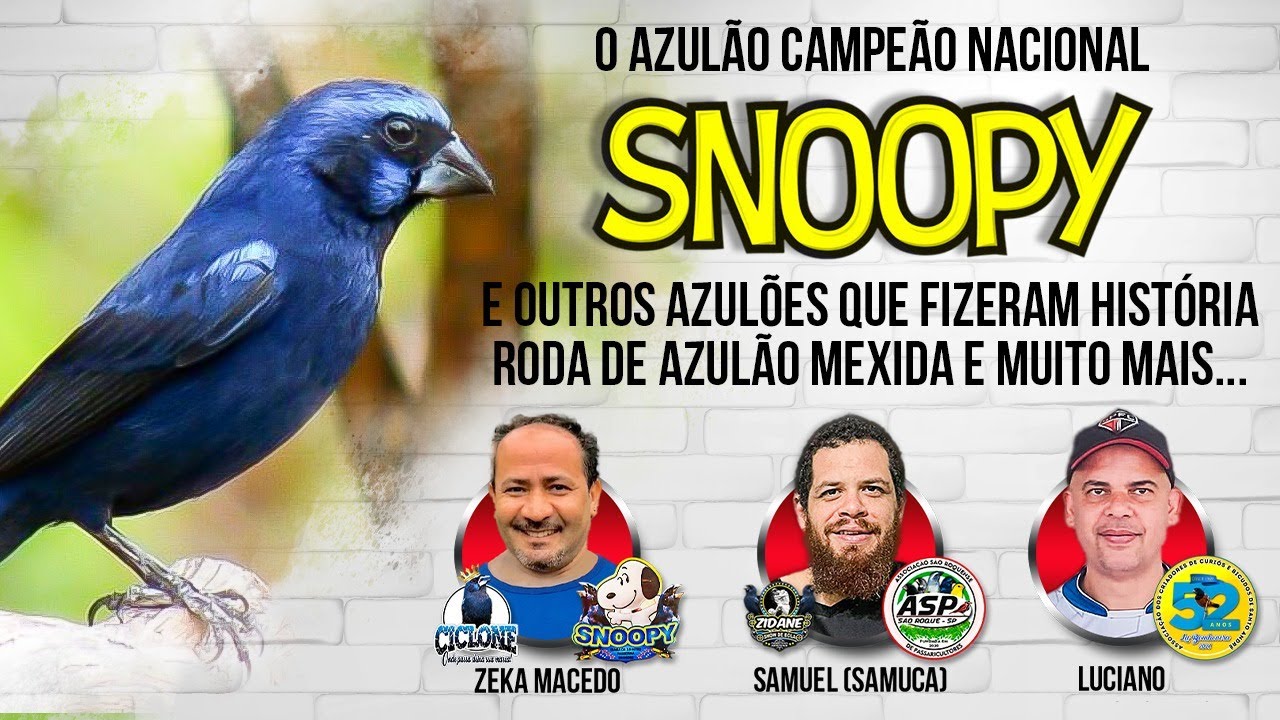 #SeLigaTchê - O Azulão Campeão Nacional Snoopy e outros que fizeram história, roda e muito mais...
