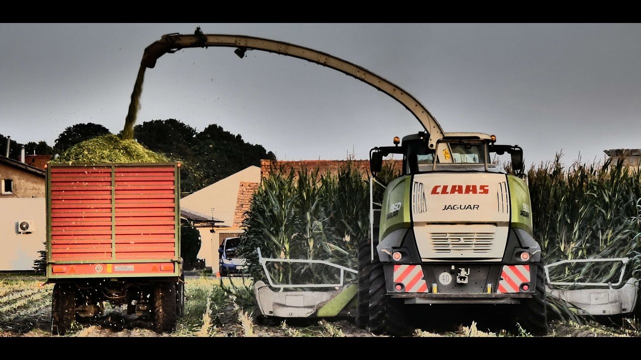Kiszonka z przytupem | GR Matysik | Usługi firma AGROMET