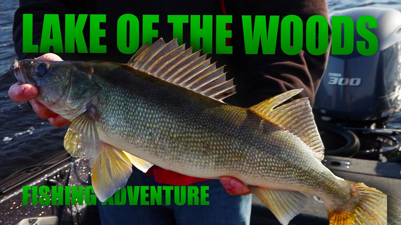 Epic Walleye Fishing Adventure at Lake of the Woods | Fisherman's Digest
