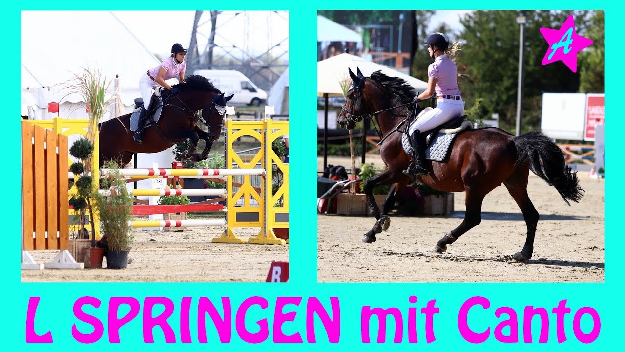 Endlich L Springen I Heim Turnier I gutes Team