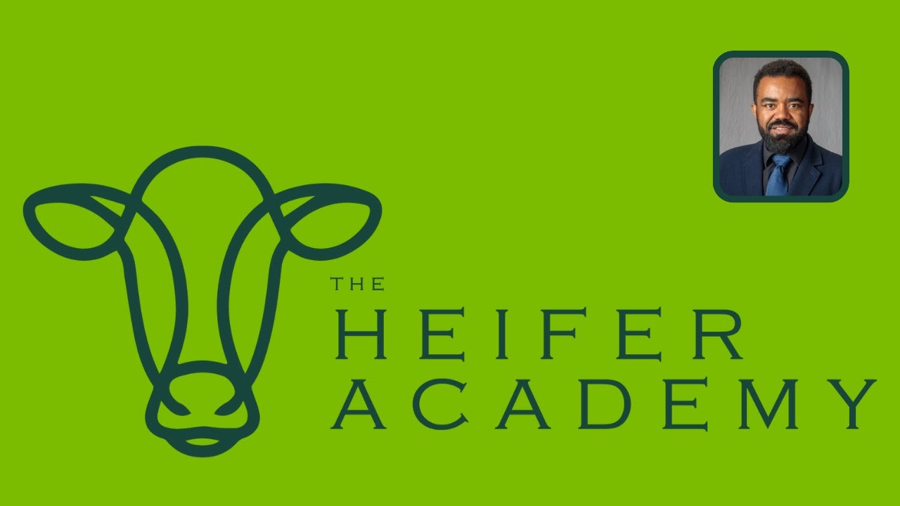 The Future of Heifer Rearing