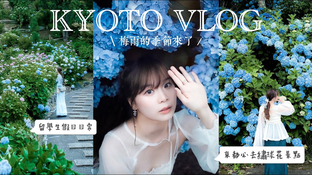 🇯🇵六月回憶碎片｜推薦京都必去繡球花景點、太美了...一整片山頭都是繡球花海｜善峯寺、福知山｜梅雨的季節來了、夏天果然還是要吃冷麵、拍攝穿搭分享｜希達Sheeta
