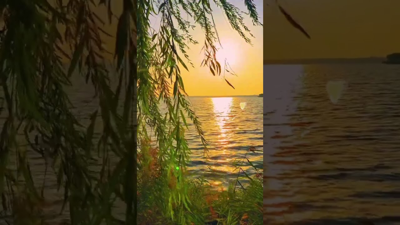 Sırtımdaki izler