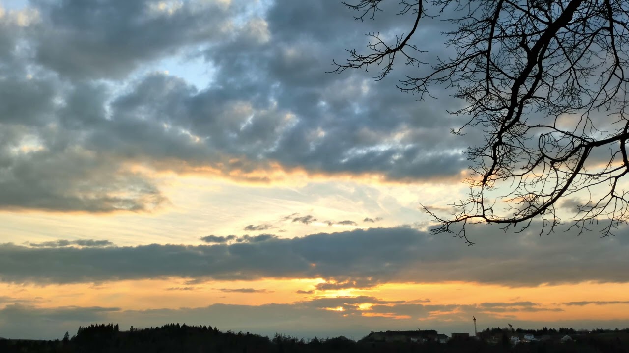 Abendstille und Vogelgesang 🕊️ 