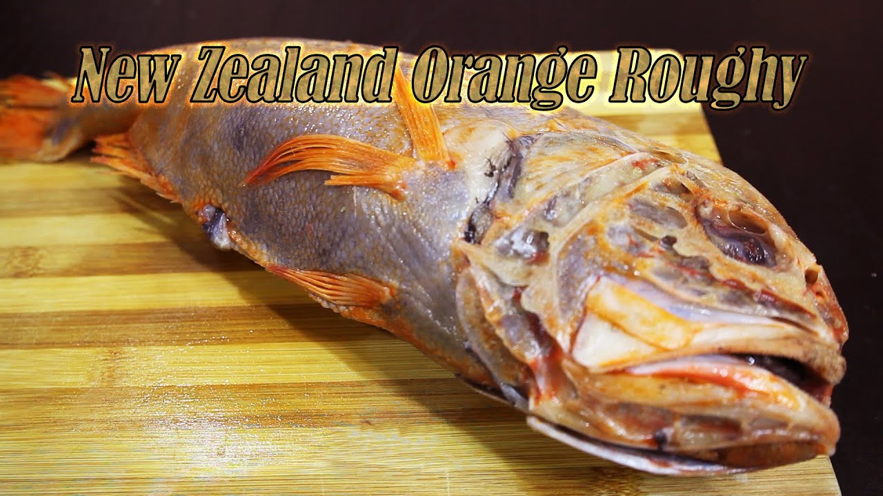 [Orange Roughy] - Filleting, Baking and Boiling Orange Roughy!