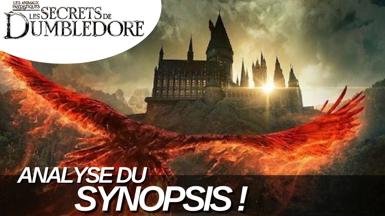 ANALYSE DU SYNOPSIS ET DE SES MYST&Egrave;RES... - LES SECRETS DE DUMBLEDORE