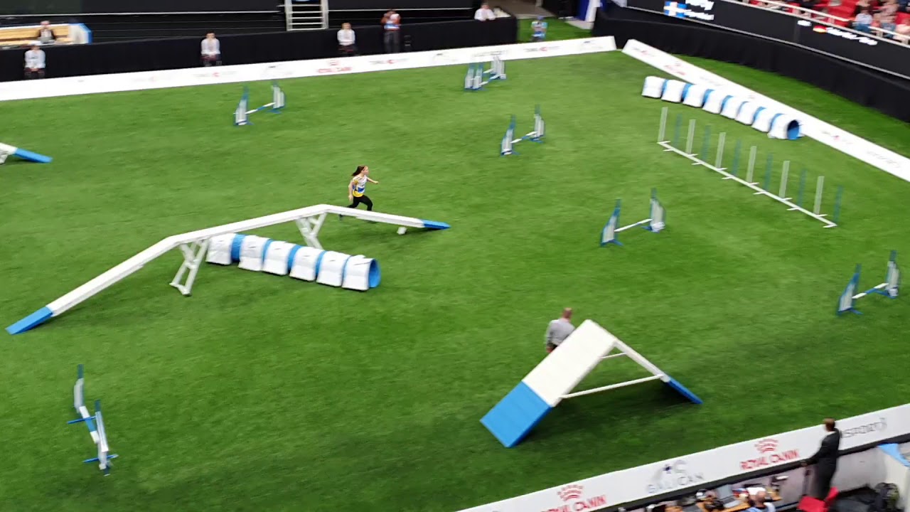PARTY Enya Habel Small Agility AWC 2019