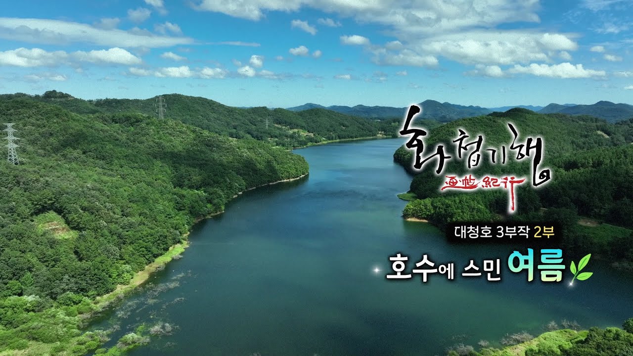 [TJB 화첩기행] 호수에 스민 여름 - 대청호 2부