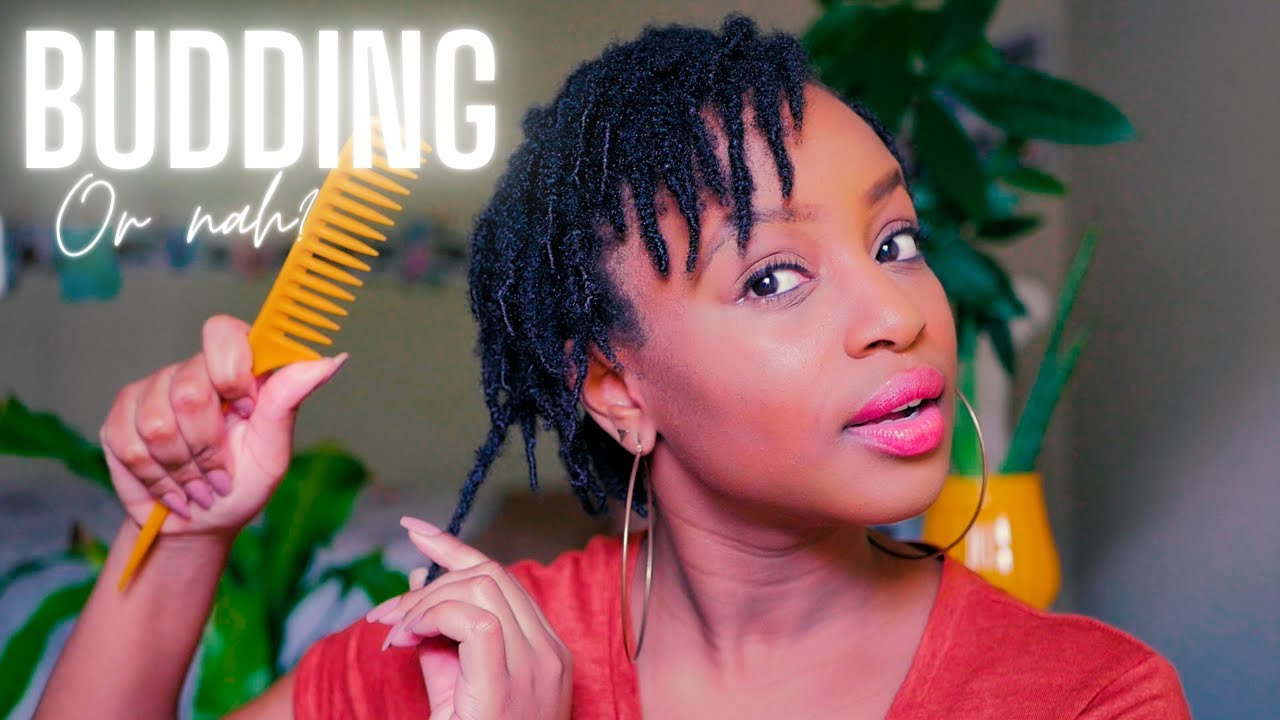 Loc Budding vs. Loc Bunching (Two Strand Twist Starter Locs on 4C Hair)