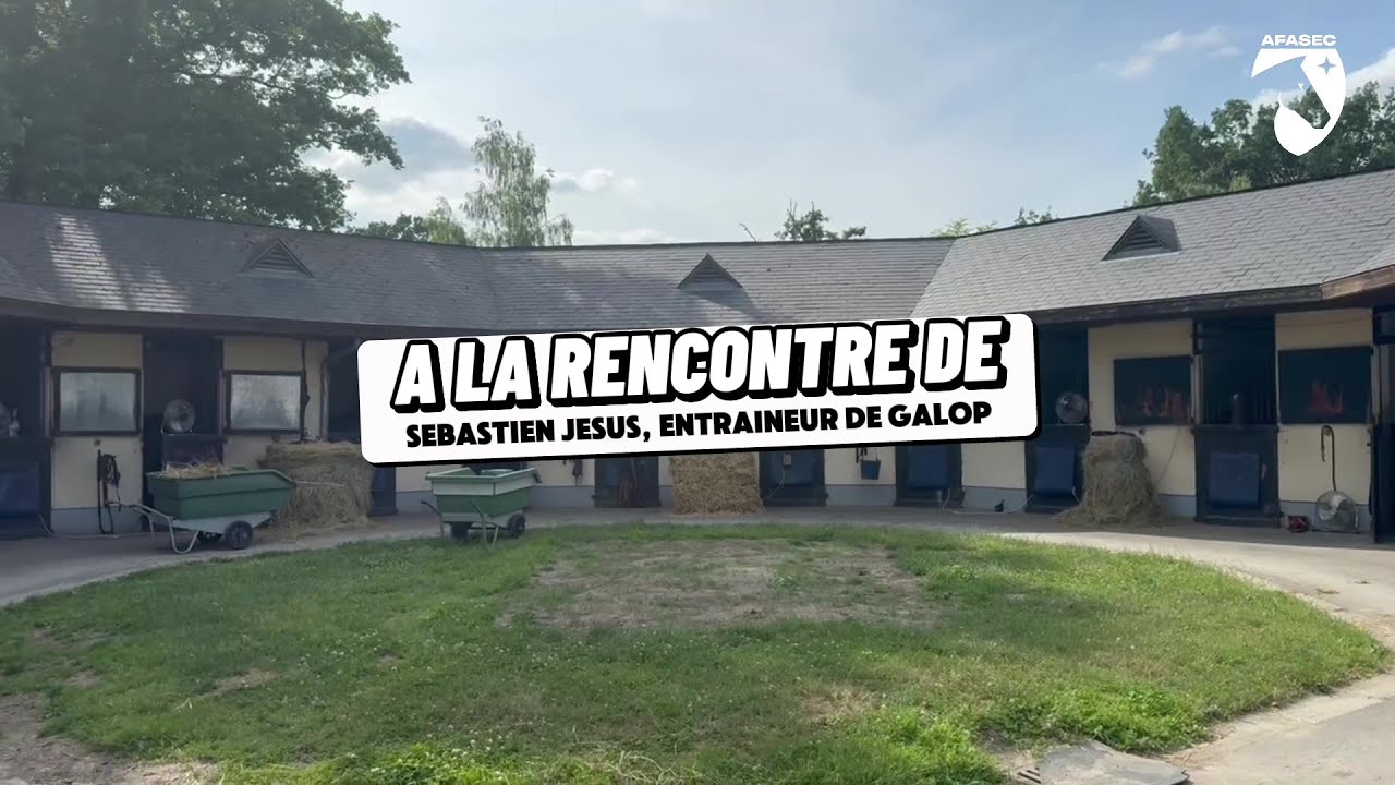 Le métier d'entraîneur de chevaux de courses de galop avec Sébastien JESUS