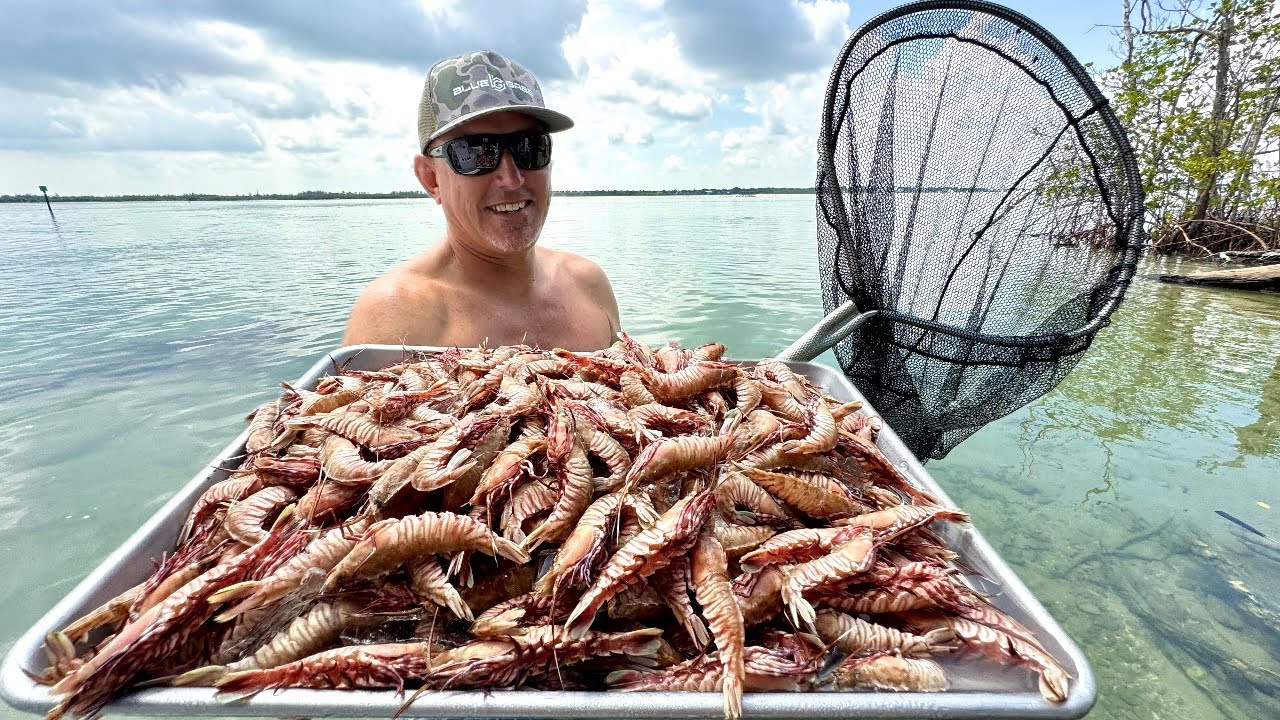 *Millions of Rock Shrimp Acting Very Strange* We were Catching them with Dip Nets! (Catch & Cook)