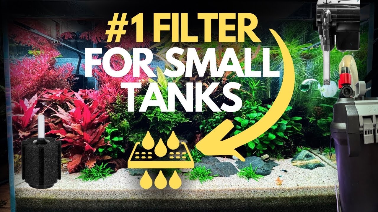 Top 3 Best Filters for Nano Planted Tanks (Must-Have for Crystal Clear Water!)