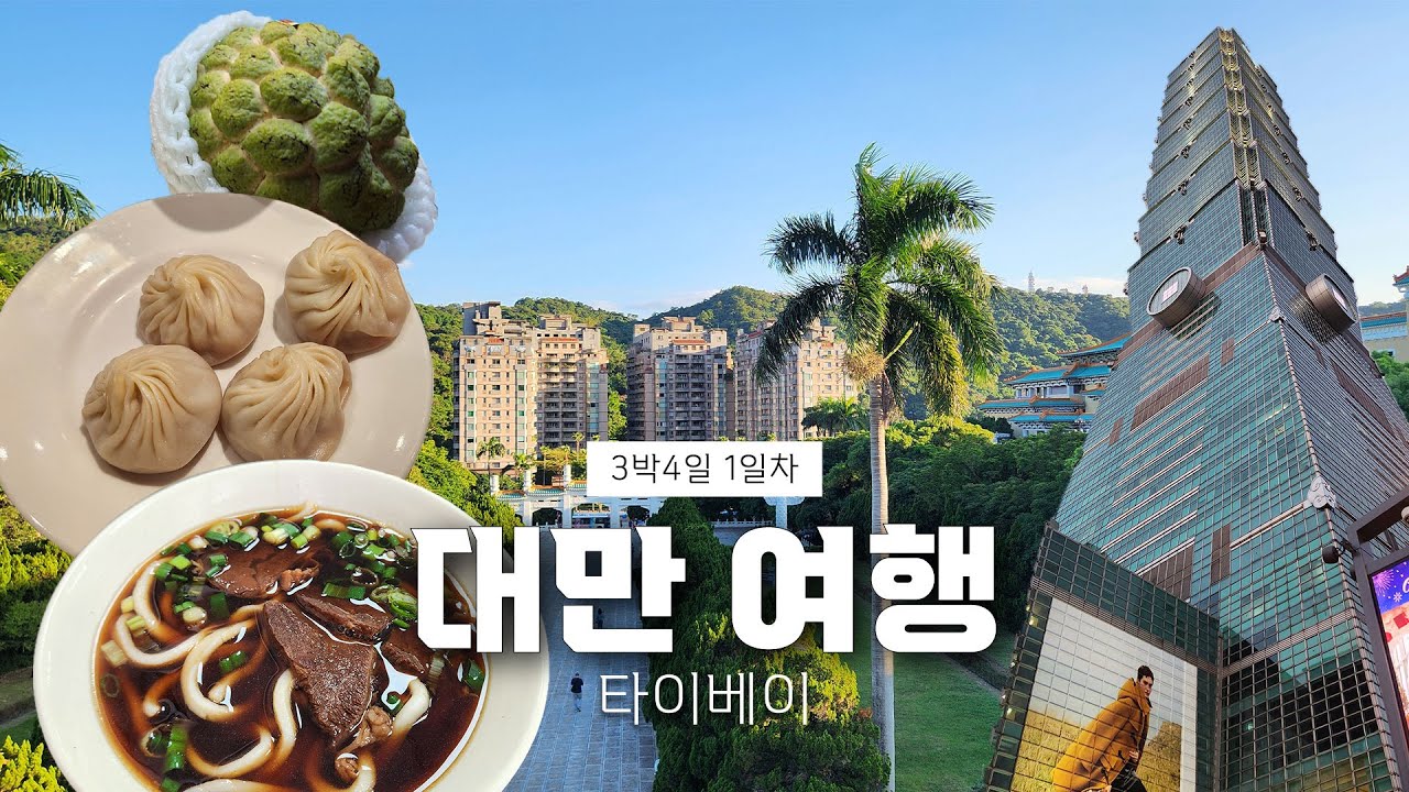 대만 타이베이 여행 브이로그 ✈️ 우육면, 대만국립고궁박물관, 타이베이101, 딘타이펑, 라오허제야시장