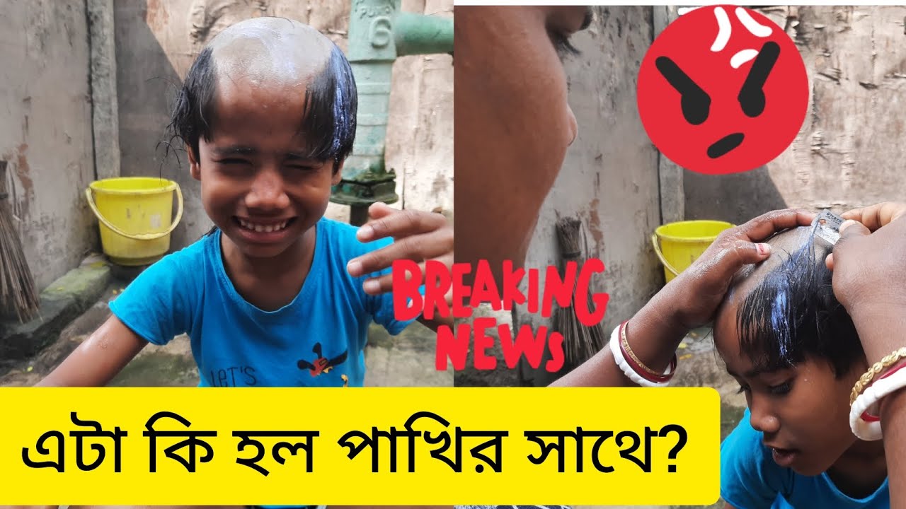পাখিকে নেড়া করতে হল! কি হল এটা🥲! #connected_by_colours_ #vlog