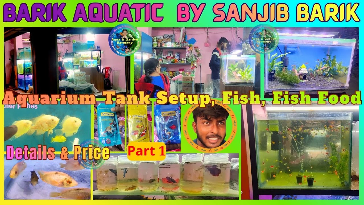 AQUARIUM FISH & FOOD PRICE, SETUP GUIDE & MAINTENANCE SERVICE | SANJIB BARIK @ AJAYNAGAR | 19NOV25