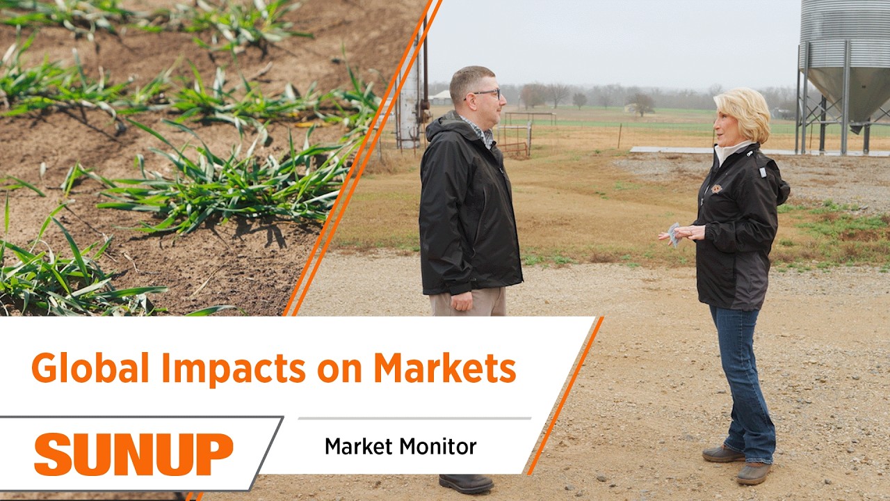 What Global Events Mean for Grain Markets Right Now| Market Monitor with Todd Hubbs