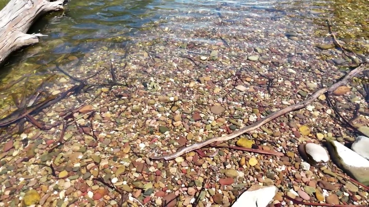 Slow Avon River 2026