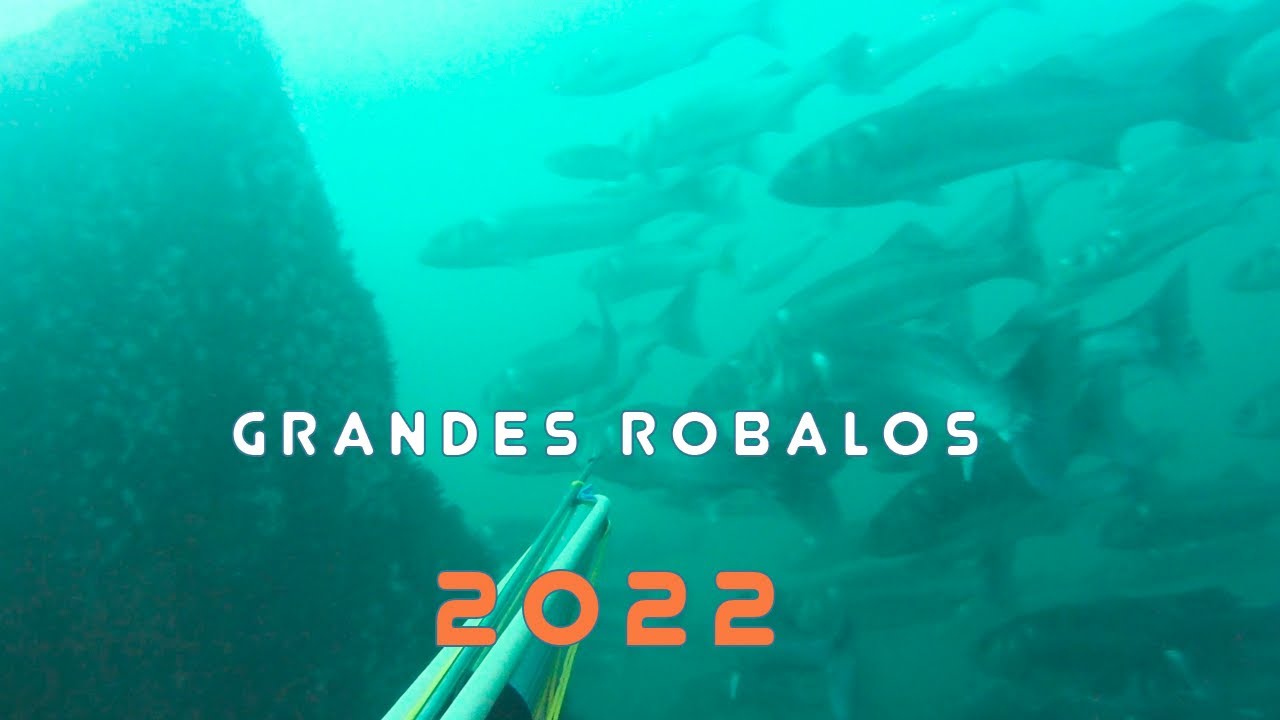 Grandes Robalos 2022