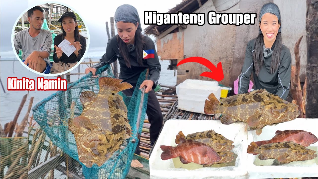 Jackpot Ulit Malaking Blessings 😲Marami Ang Harvest  Kung Grouper