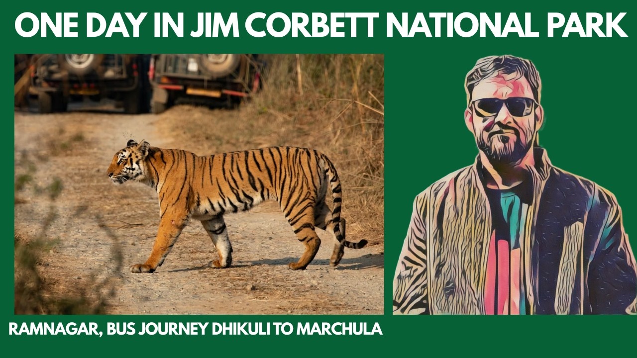 Slice of Life Vlog 3 - Shinrin-Yoku in Jim Corbett National Park #lifevlog #naturevlog #jungle