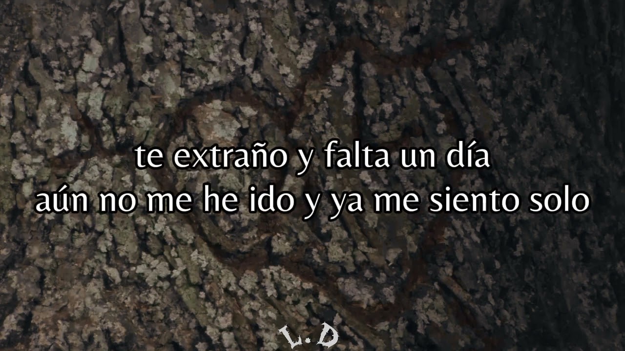 Ricardo Montaner - Volver (letra)